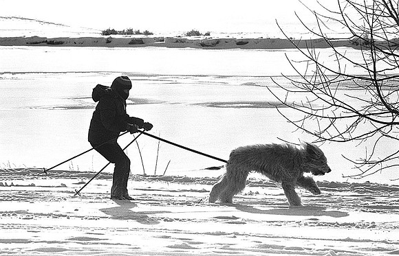 Skier in tow along the Charles River: 011278.Ski