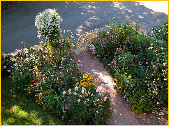Summer Garden IMG_3803