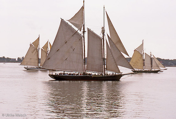 Schooners in Gloucester Harbor, MA: CLNauTS.20_3