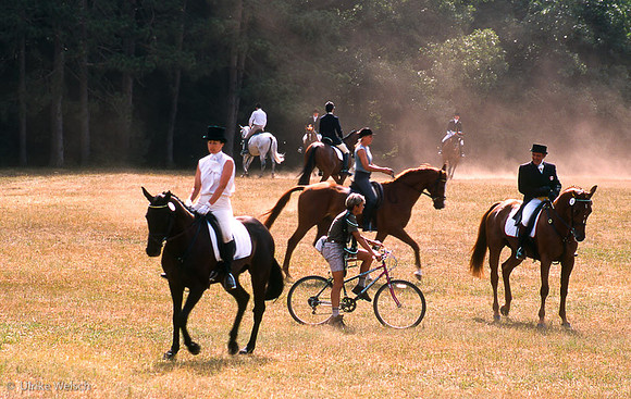 Equestrian Event, Hamilton, MA: CPAH6_1