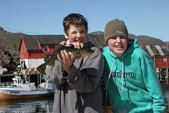 junior fishermen with their catch, Ballstad, Lofoten, Norway : IMG_0133
