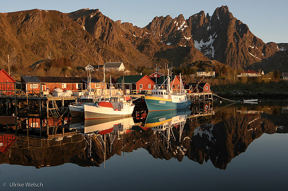 Ballstad Harbor, during midnite sun, 2:30 AM, Lofoten, Norway: IMG_0225