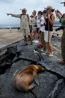 Tourists near sleeping Sea Lion on North Seymour Island : P1000626