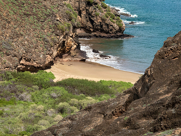 Serene beach, Galapagos Islands : IMG_3551