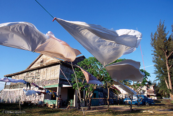 Drying Laundry on outskirts of Varadero the beach resort, Cuba: CuLMis.5_14