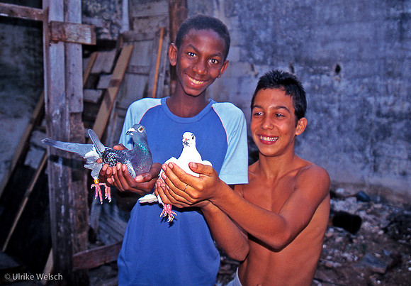 Best Friends, each with their own Pigeon, Cardénas, Cuba: CuPyM.2_1