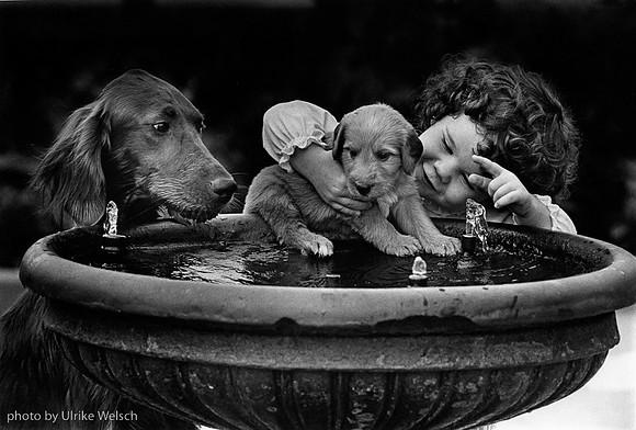 Girl teaching a puppy