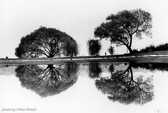 Reflection in Esplanade: esplanadeReflect: 19