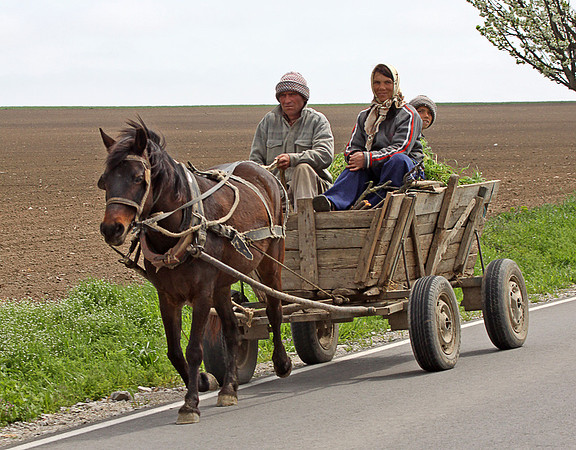 Local Farmers traveling in Danube Delta region: IMG_0668Ppt