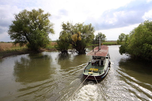 Delta of the Danube, Romania : IMG_1548PPt