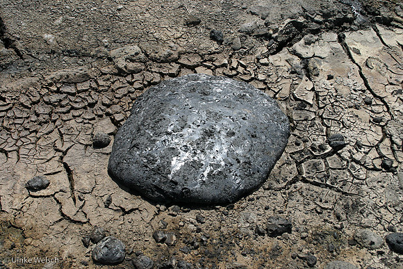 Pitch at Pitch Lake in Southwest Trinidad, West Indies: 898_9865