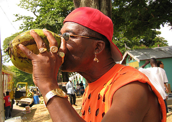 Native of Trinidad and Tobago drinking from fresh Coco Nut, Trinidad, West Indies: 864_6410