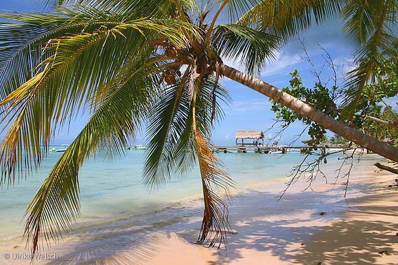 One of the many endless beaches of Tobago, West Indies: 900_0002