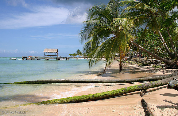 One of the many endless beaches of Tobago, West Indies: 900_0010