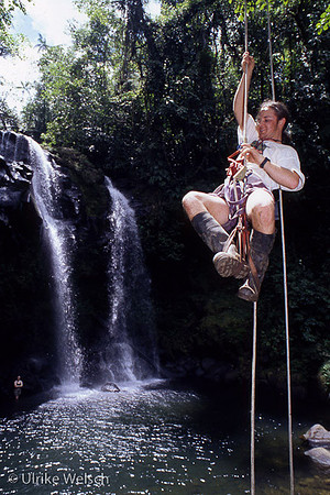 Young man rapelling down from the canopee at Rara Avis Rainforest Ecotourism preserve, Costa Rica: CRPGEco3_1