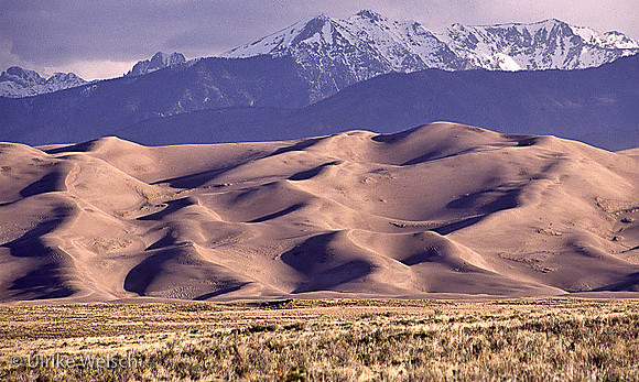The Great Sand Dunes with the Sangre de Christo Mountains, Southern Colorado : CLCo_3