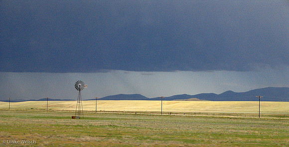 Windmill at Wilkerson Pass, Colorado : IMG_0100