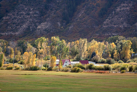 Fall scene Southern Colorado : IMG_0437