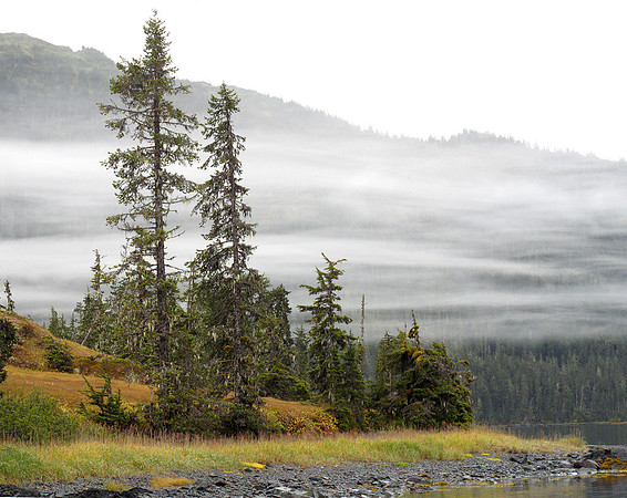 Morning Clouds over inlet near Valdez, Alaska: IMG_4159