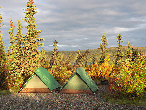 Camping East of Denali, Alaska: IMG_3936