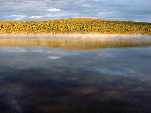 Early Morning Light: IMG_3930