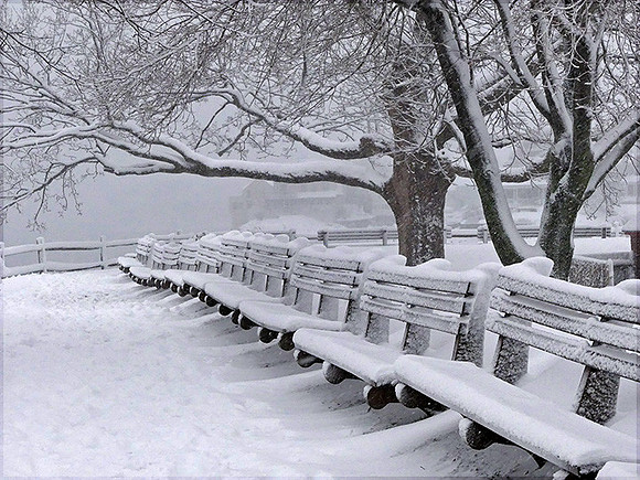Snowy benches at Fort Sewall: P1000917