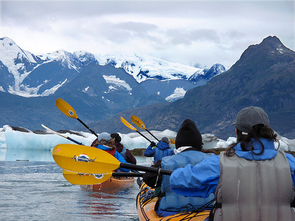 Kayaking between icebergs: IMG_4243