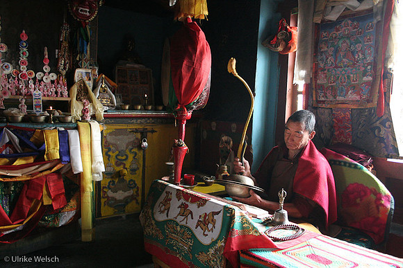 Monk at prayer in Sikkim, India  : MG_5643us
