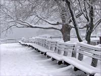 Snowy Benches at Fort Sewall: P1000917