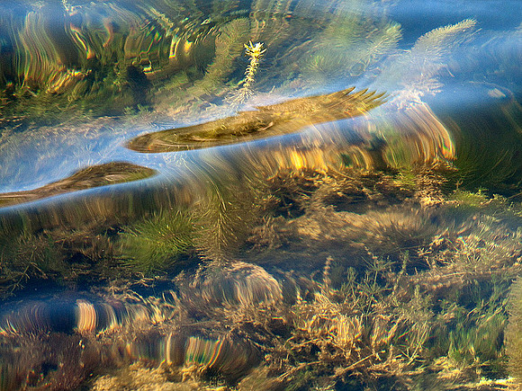 Moving Water: IMG_0739