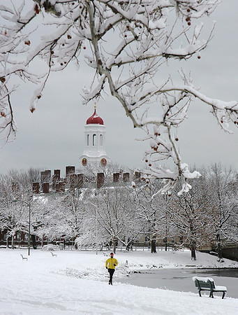 Jogger near Dunster House, Cambridge, MA:  IMG_0466