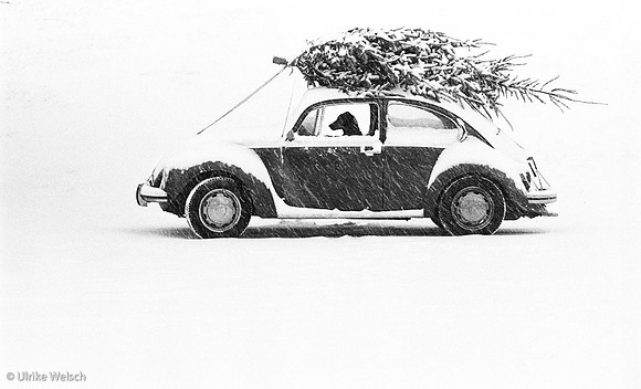 Volkswagen during Christmas Time: Fritz