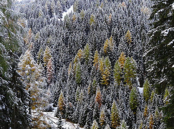 Frosted Dolomites: AK479
