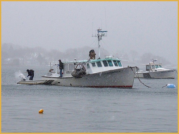 going out Lobstering in Winter: IMG_5507