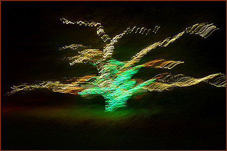 magical tree: P1020045