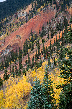Fall Colors over Iron-Rich Soil in Colorado: IMG_0394