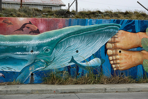 Mural along sea wall, Tierra del Fuego  : DSC08791