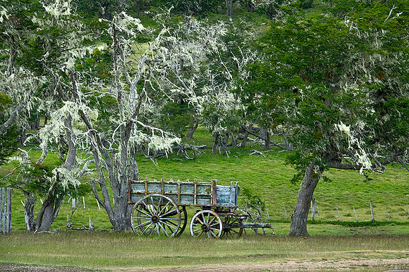 Wagon on Estancia de Hijas, Rio Grande, Tierra del Fuego, Argentina  : DSC08895