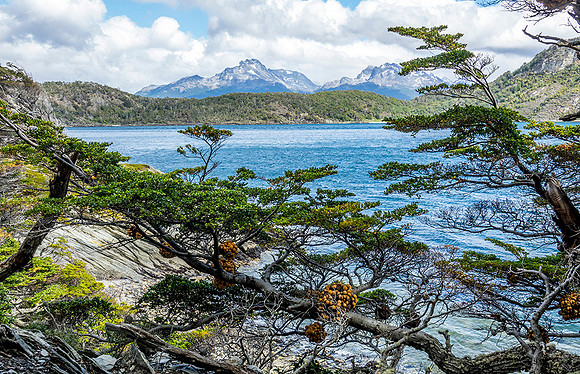 Bay in Tierra del Fuego National Park, Argentina  : DSC09062