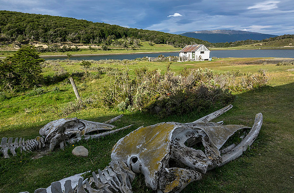 Museum with Whale skeletons at Harberton Ranch  : DSC09884