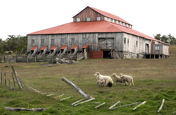 Sheep Barn on Estancia de Hijas, Tierra del Fuego  : DSC08919