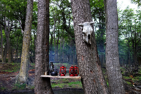 Still-Life at picnic site  : DSC09363