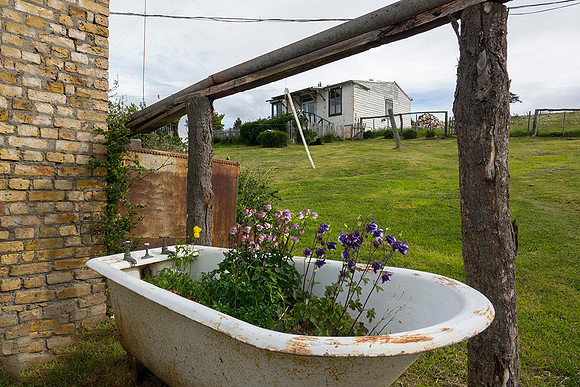 still-life on Harberton Ranch  : DSC09853