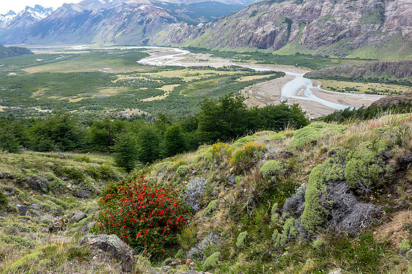 French Valley - DSC08545