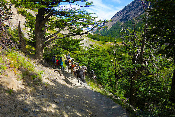 Trail in Patagonia, Chile  - DSC08889