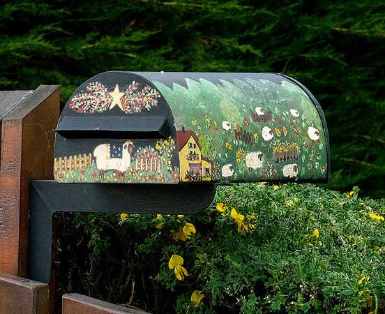 Painted Mail-Box - DSC08674