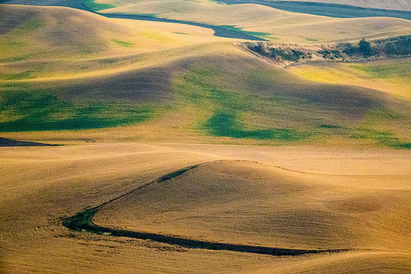 Palouse - DSC05433