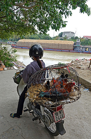 D4-DSC00902