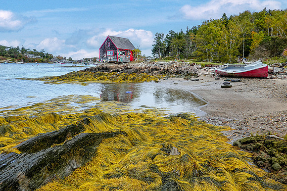 DownEast: DSC00349Ppt