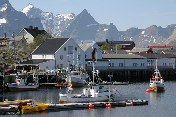 Hamnoy Harbor, Lofoten, Norway : IMG_0659